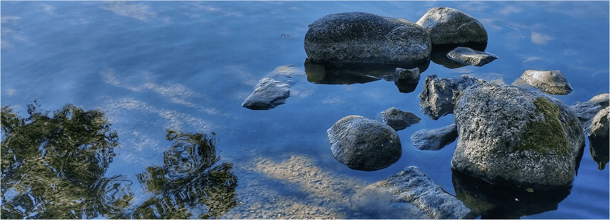 Tranquil water reflection